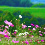 大切な場所 1.jpg